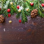 Natal natural – Decorar com plantas natalícias
